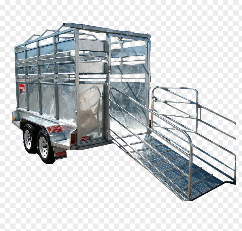 Car Cattle Ifor Williams Trailers Livestock PNG