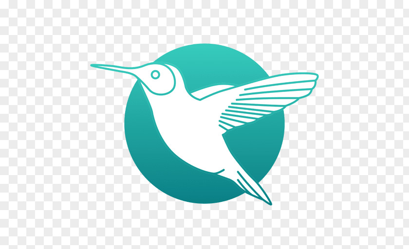Design Hummingbird Logo PNG