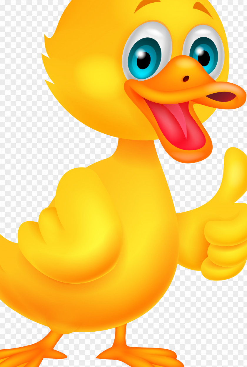 Duck Goose Cygnini Clip Art Beak PNG