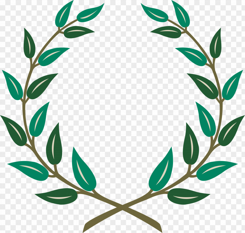 Barley Laurel Wreath Olive Bay PNG