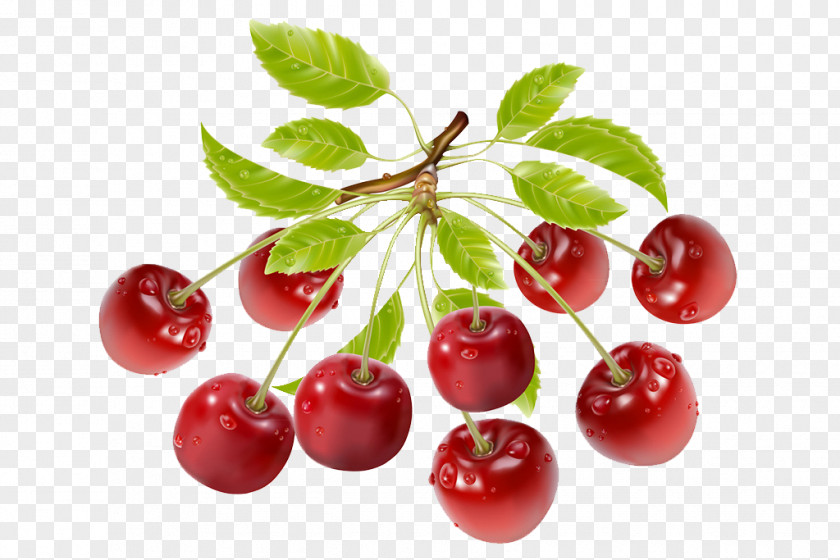 Cherry Strawberry Fruit Vegetable Clip Art PNG