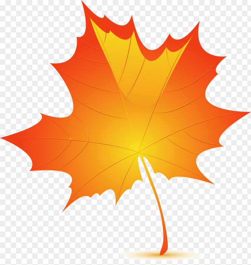 Crystal Maple Leaf Autumn Color Birch PNG