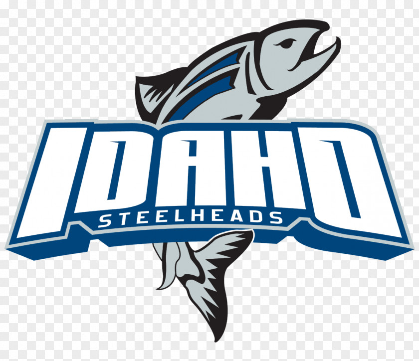 Echl CenturyLink Arena Boise ECHL Idaho Steelheads Toledo Walleye Ice Hockey PNG