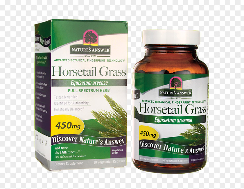Horsetail Valerian Herbalism Dietary Supplement Pueraria Mirifica PNG