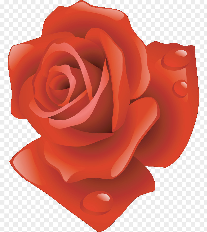 One Flower Rose Valentines Day PNG