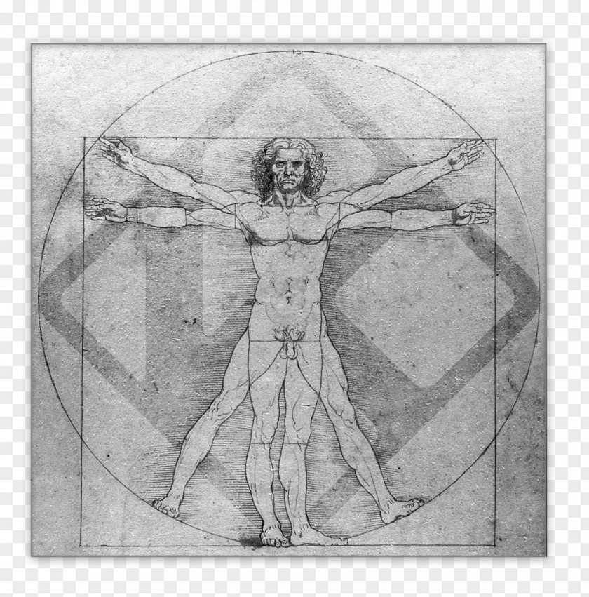 Painting Vitruvian Man Italian Renaissance Polymath Leonardo Da Vinci: Sketches & Drawings PNG