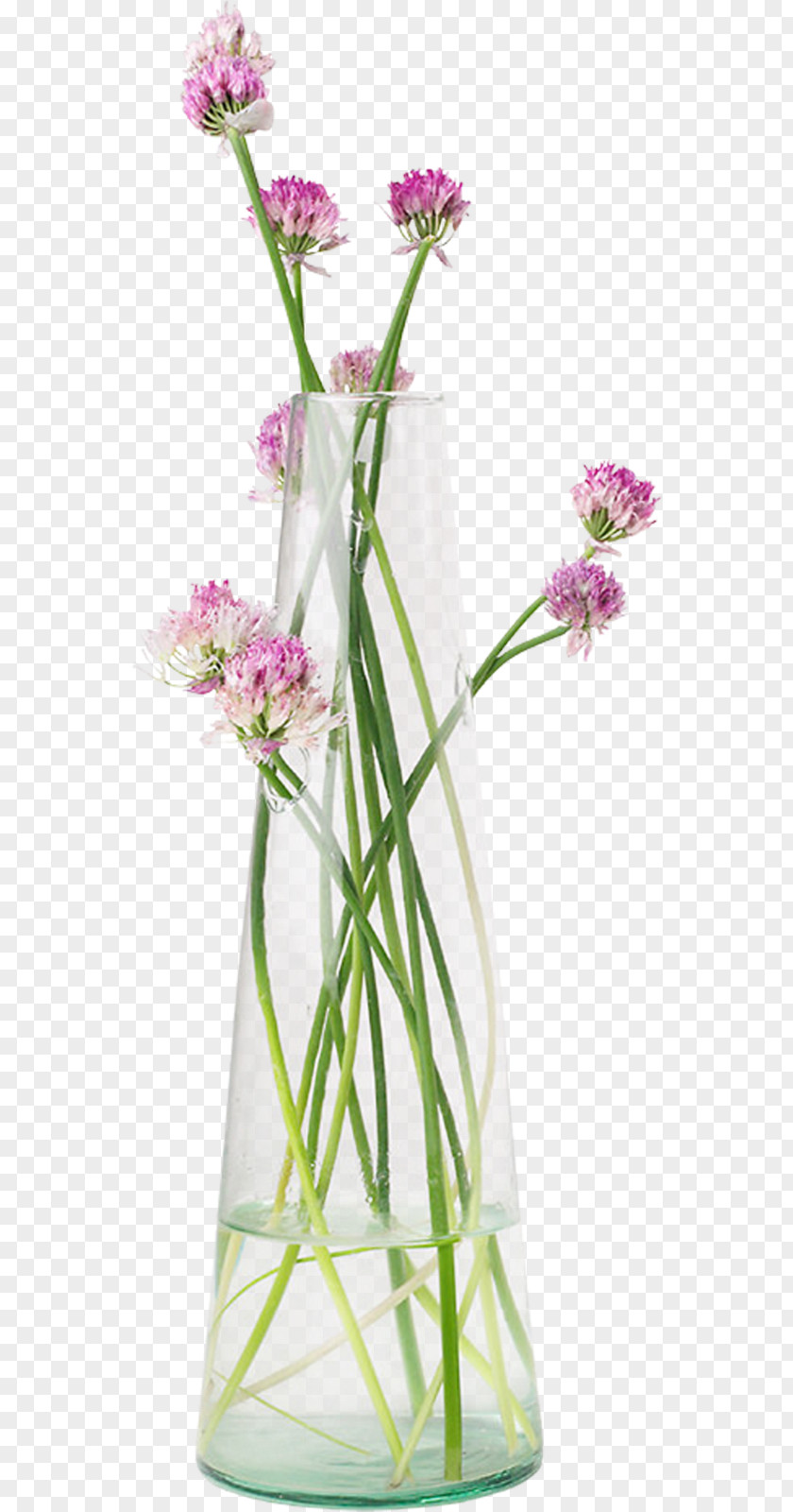 Vase Floral Design Flower Clip Art PNG