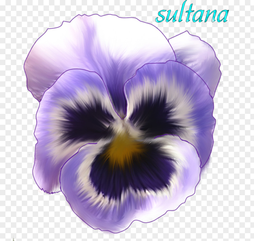 Watercolor Paint Morning Glory Purple Flower PNG