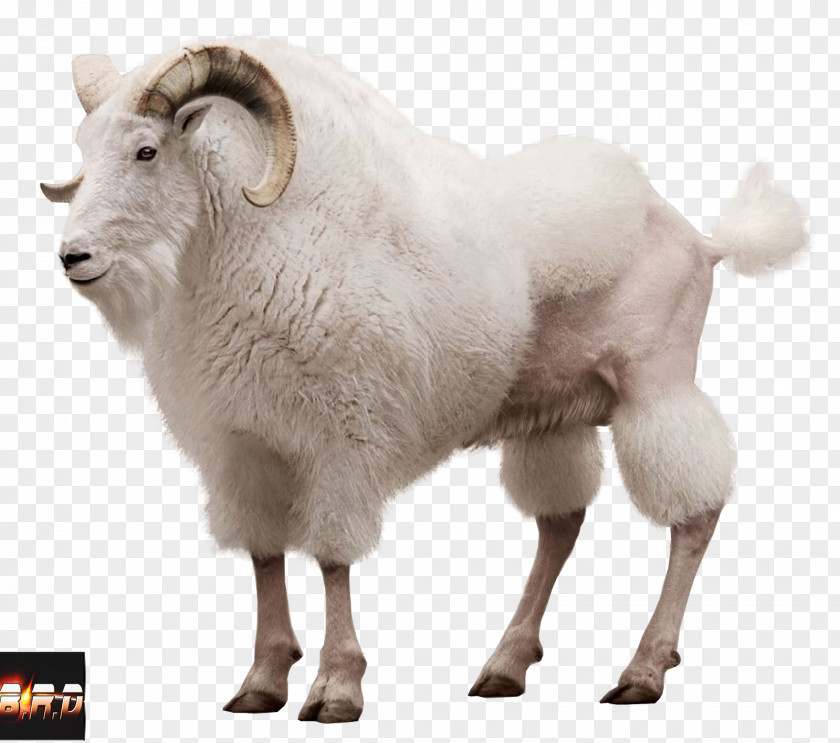 Goat Mountain Sheep Advertising Volkswagen Group PNG