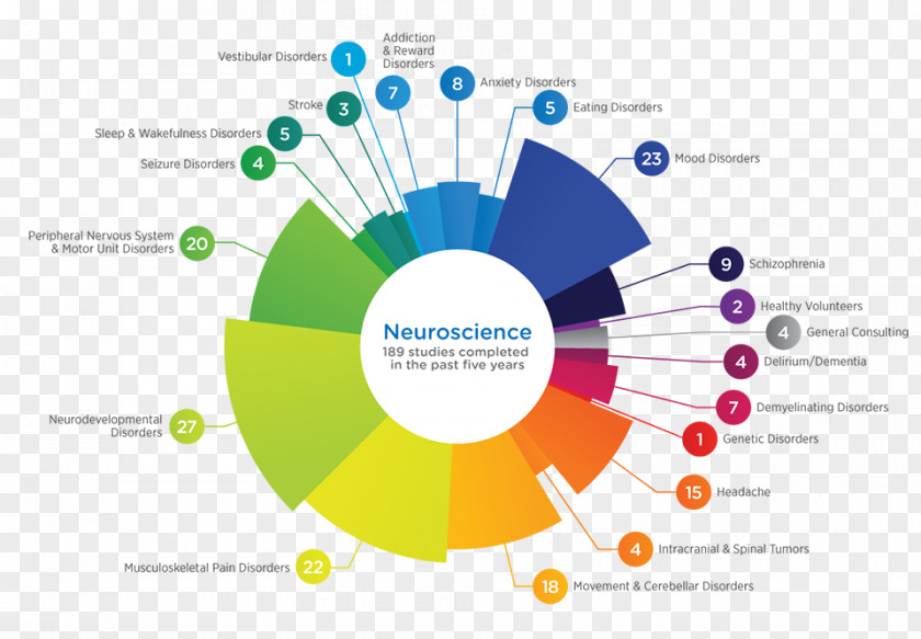 Human Behavior Psychology Graphic Design Behavioral Neuroscience PNG