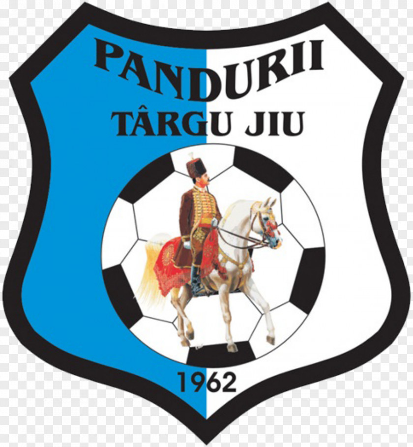 Jiu CS Pandurii Târgu Stadionul Tudor Vladimirescu Liga I Cluj-Napoca Mioveni PNG