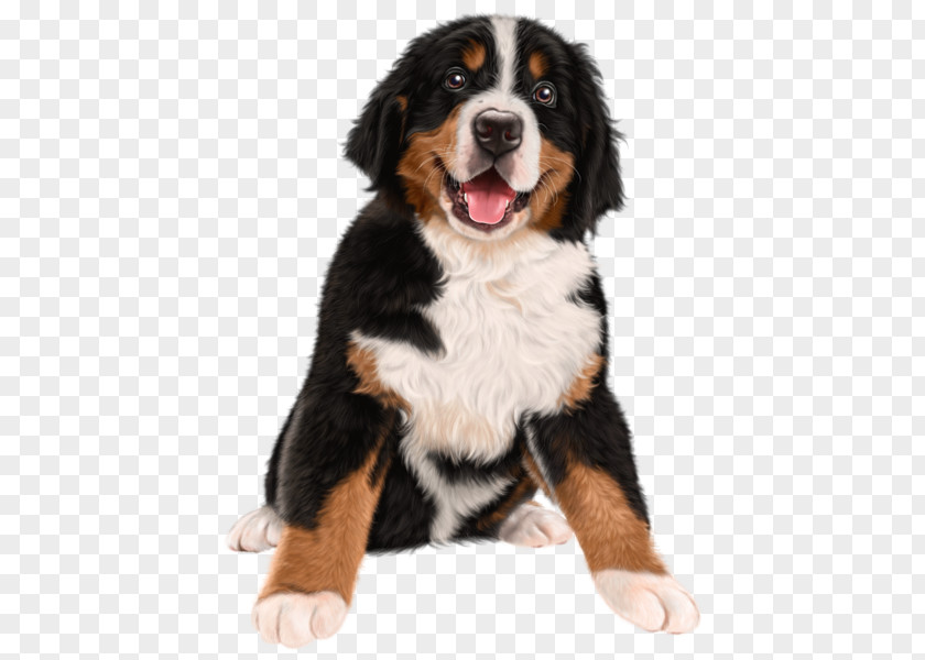 Painted Dog Stay Meng Bernese Mountain Puppy Pupcakes: A Christmas Novel Kitten The BARKtenders Guide: To Dogtails And Pupcakes PNG