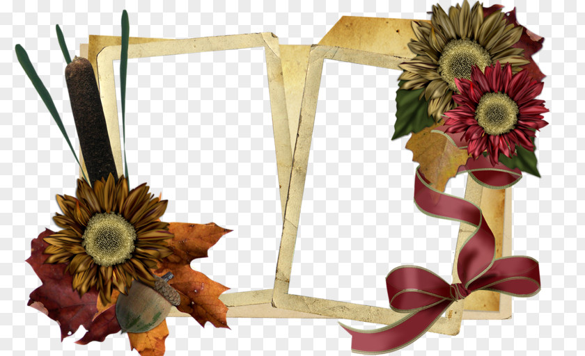 Photography Picture Frames PNG
