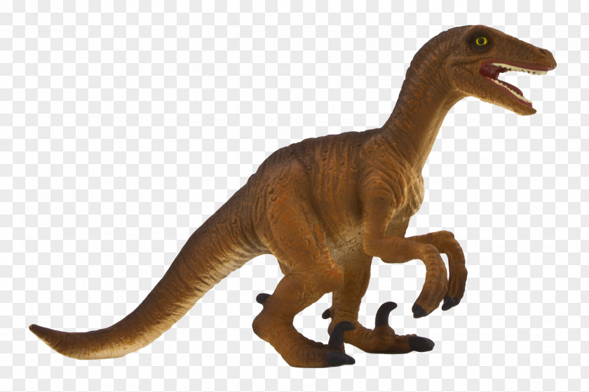 Tyrannosaurus Velociraptor Deinonychus Spinosaurus Dinosaur PNG