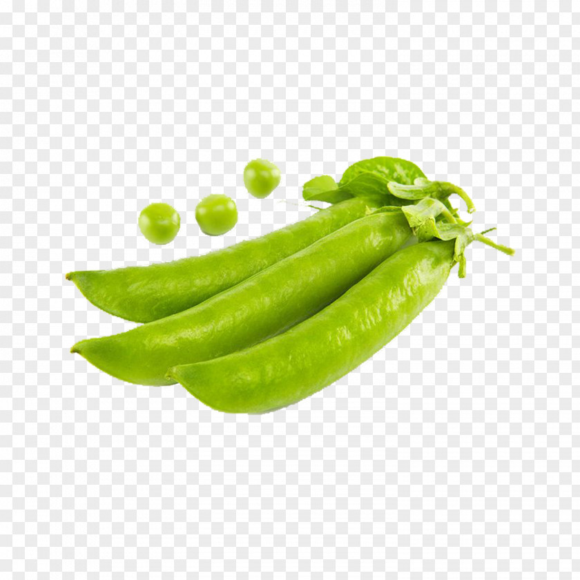 Vegetable Green Peas Snow Pea U8c4cu8c46u835a Legume PNG
