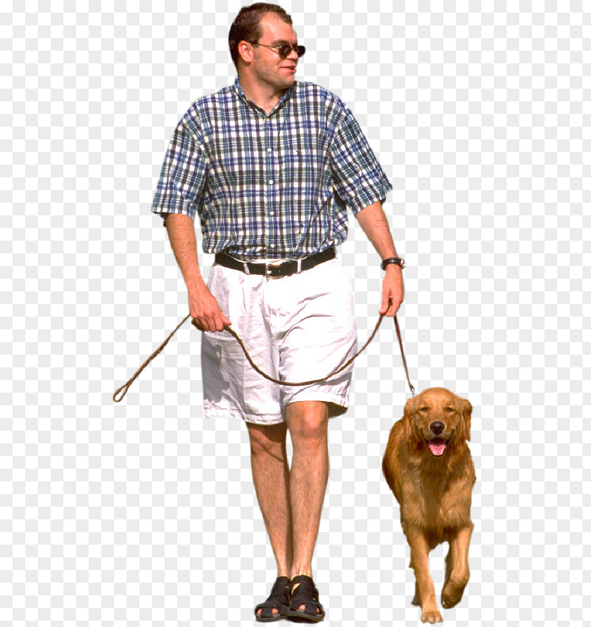 Walk Dog Walking Pet Sitting Labrador Retriever Leash PNG