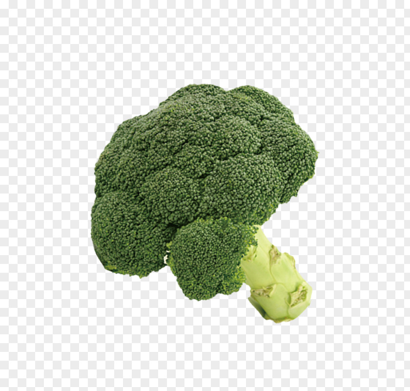 Broccoli Cauliflower Vegetable PNG