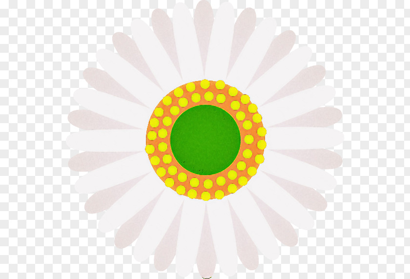 Gerbera Daisy Marguerite PNG