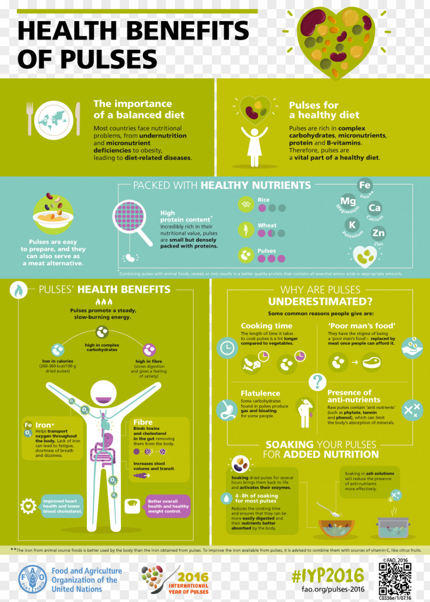 Health International Year Of Pulses Infographic Nutrition Food PNG