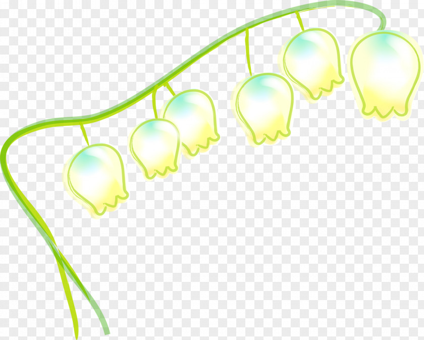 Lily Of The Valley Organism Line PNG