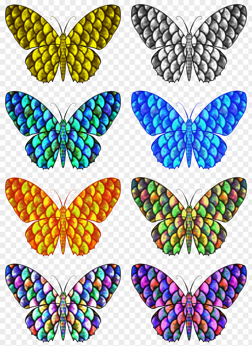 Mariposas Monarch Butterfly Brush-footed Butterflies Symmetry Clip Art PNG