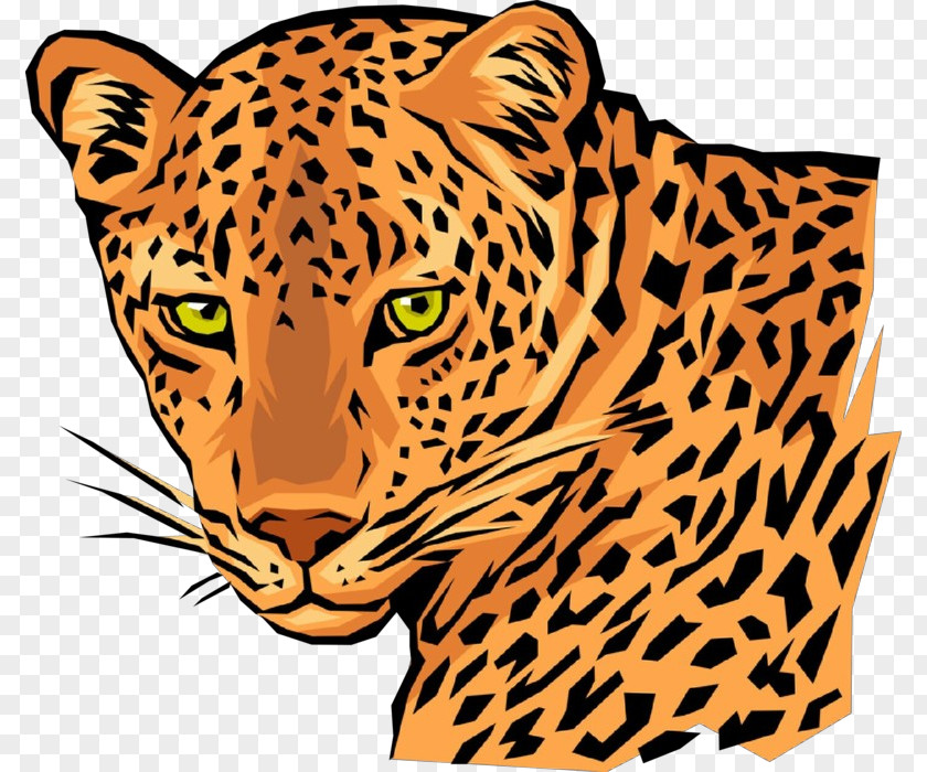 Wildlife Whiskers African Leopard Head PNG