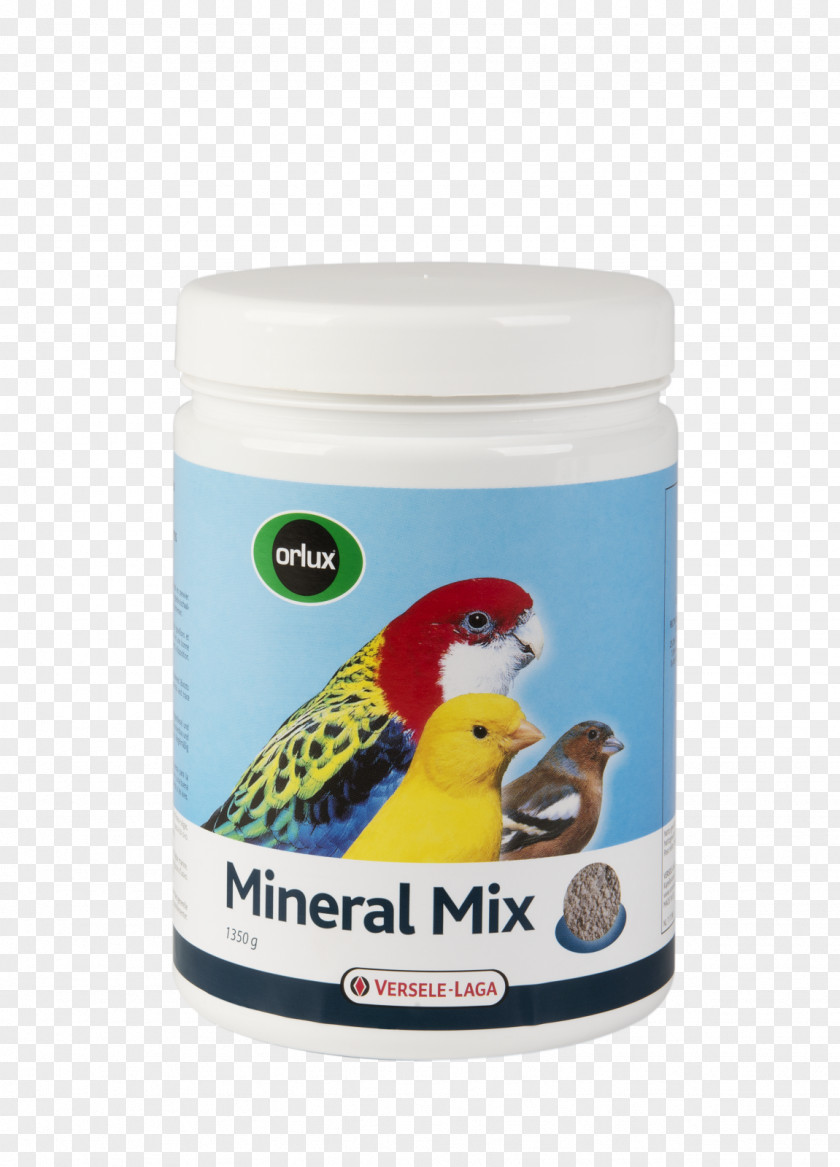 Bird Budgerigar Parrot Mineral Food PNG