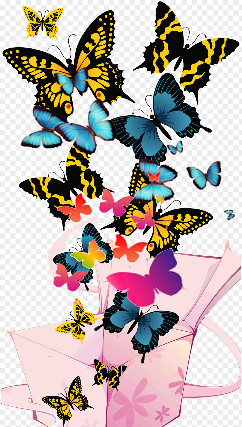 Butterfly Border Clip Art PNG