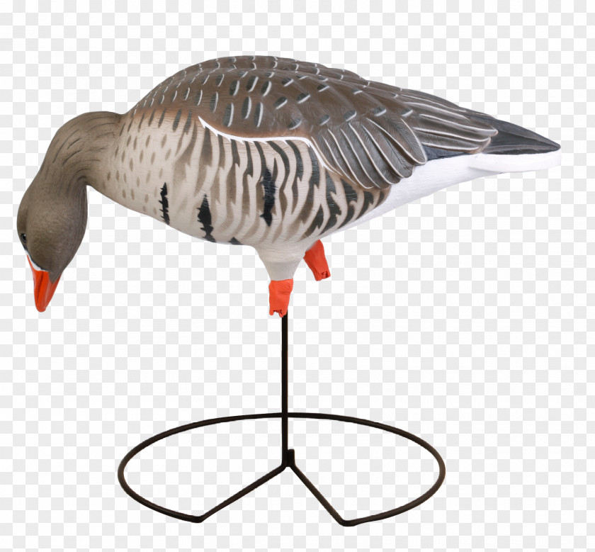 Goose Greylag Duck Mallard Decoy PNG