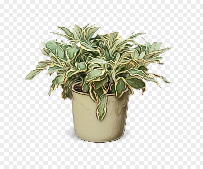 Herb Flowerpot PNG