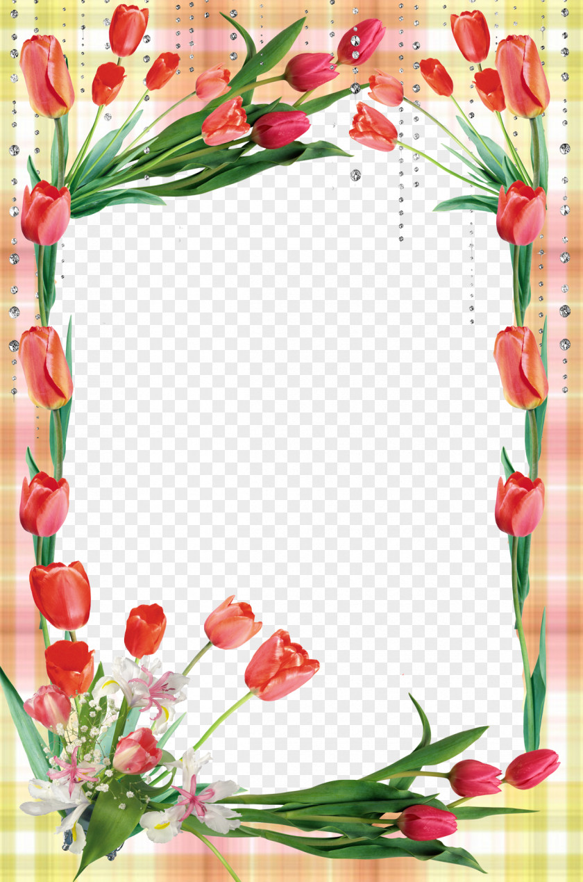 Mood Frame Pictures Picture Download PNG