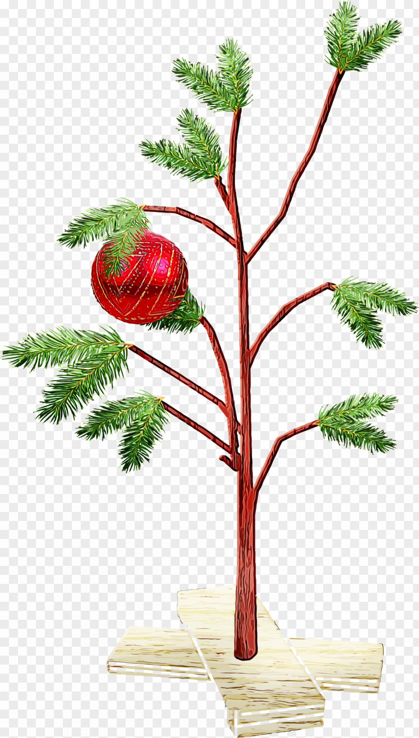 Plant Flower Leaf Stem Tree PNG