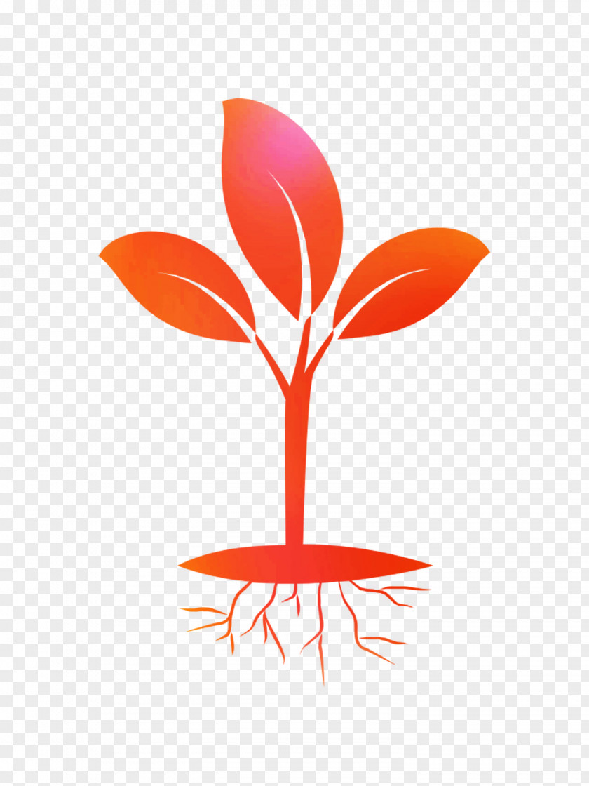 Seedling Clip Art Root PNG