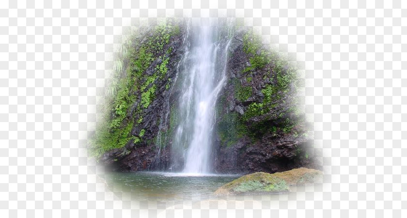 Water Waterfall Capesterre-Belle-Eau Les Fruits De Goyave Eau Garden PNG