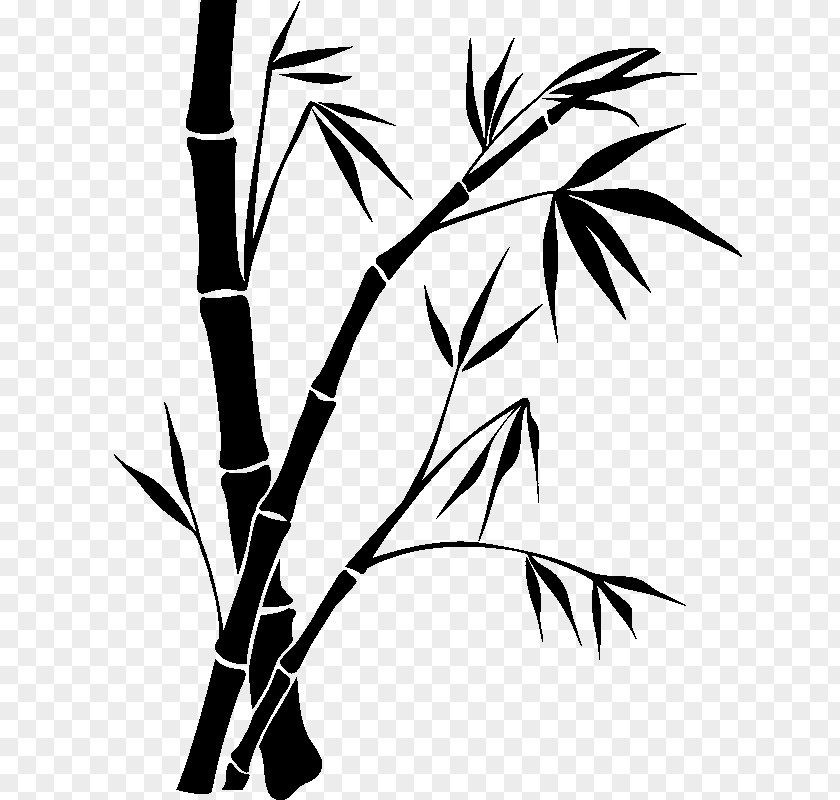 Zen Bamboo Painting Drawing PNG