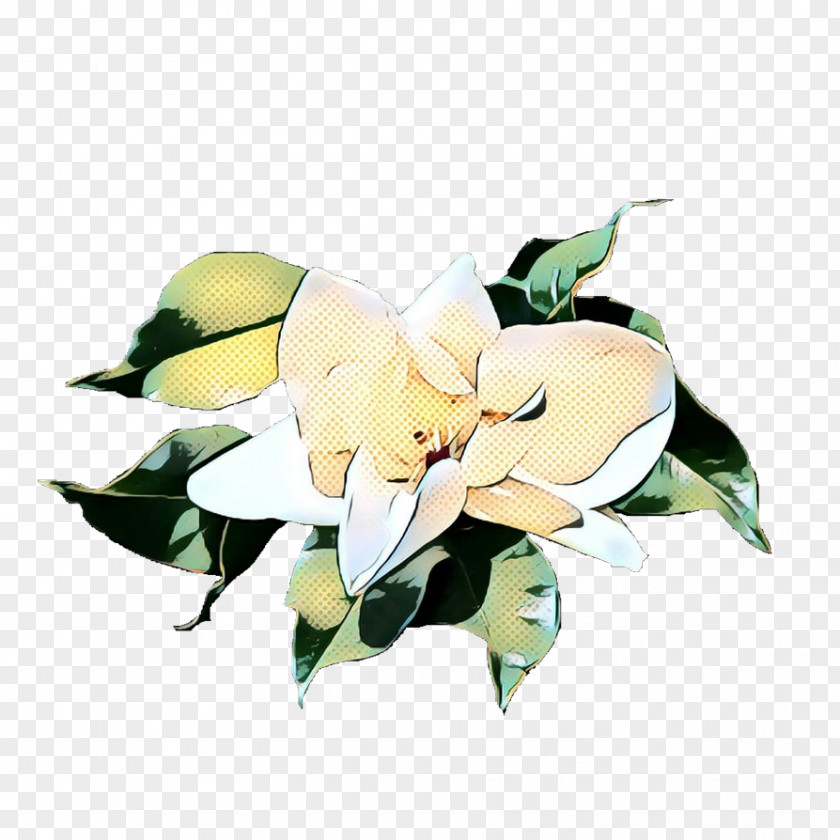 Artificial Flower Rose Order Floral Background PNG