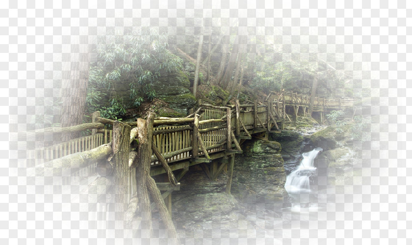 Bridge Desktop Wallpaper Waterfall Forest High-definition Television PNG