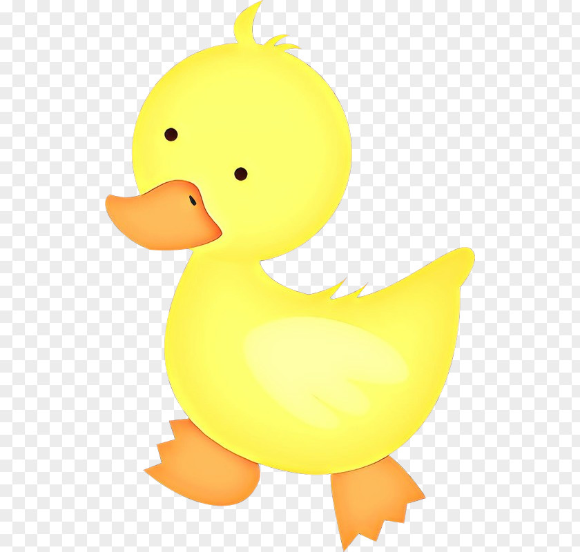 Duck Ducks, Geese And Swans Bird Yellow Water PNG