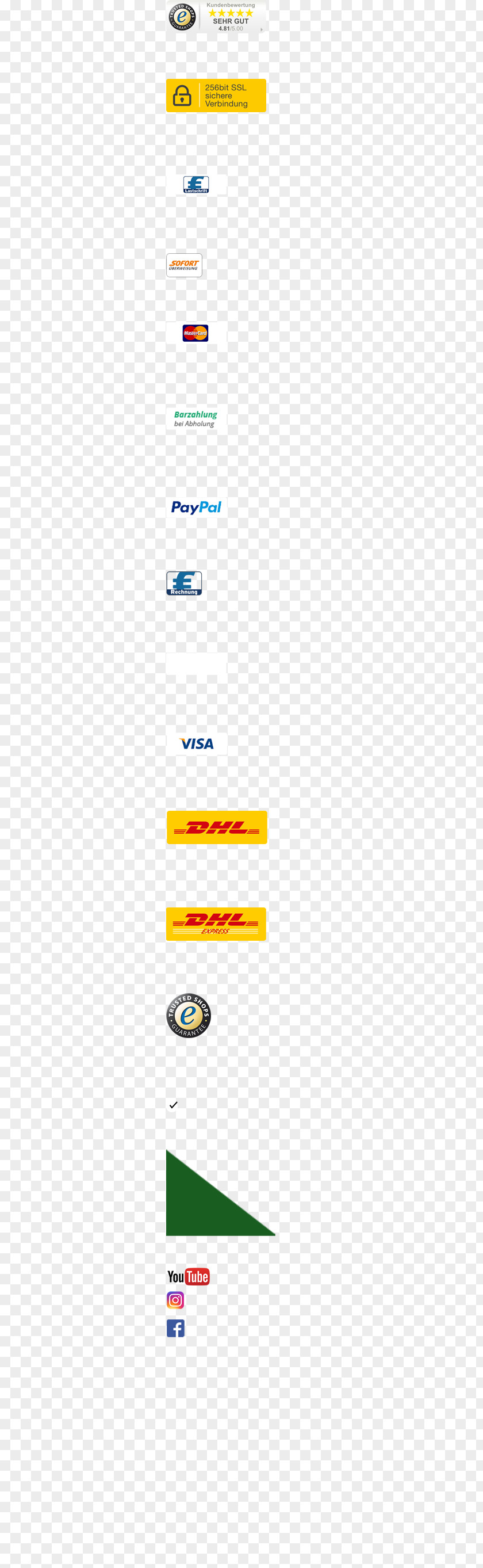 Frontend DHL EXPRESS Blue Dart Express Document Line PNG