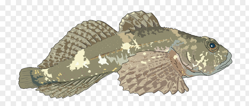 Poisson Grillades Clip Art PNG