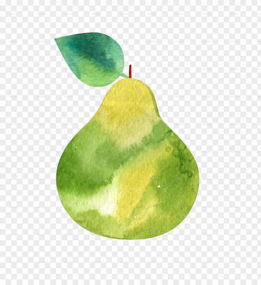 Watercolour Animals Cold-pressed Juice Food Intuitive Eating PNG