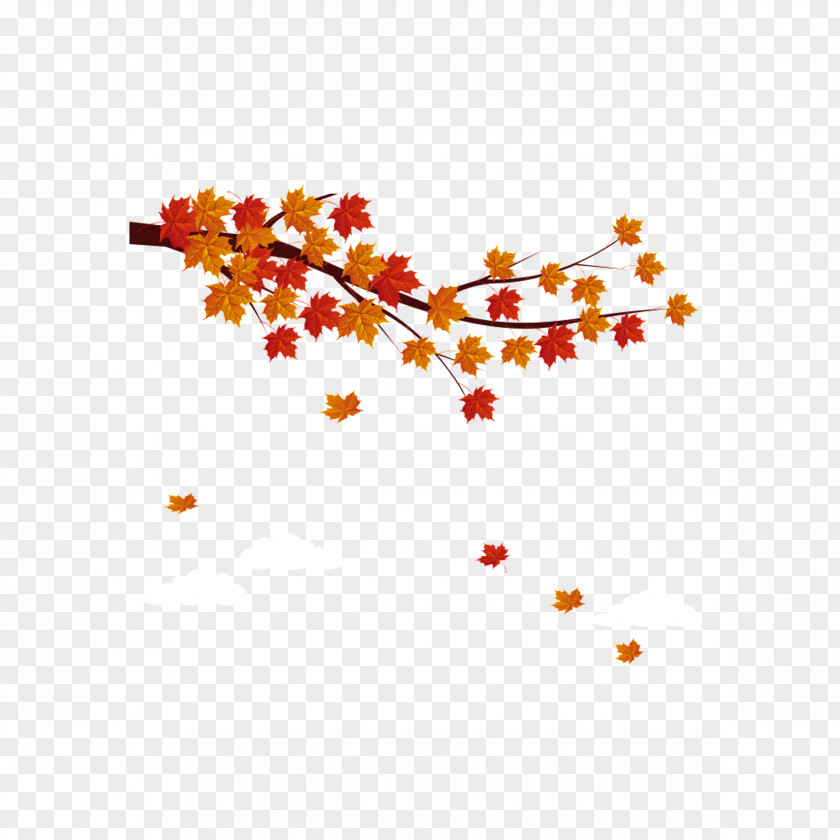 Autumn Maple Leaf PNG