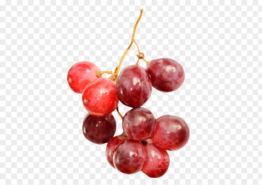 Grape Red Fruit PNG