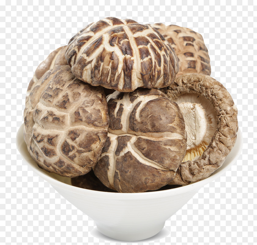 Mushroom Bowl Gutian County Shiitake Fungus Tremella Fuciformis PNG