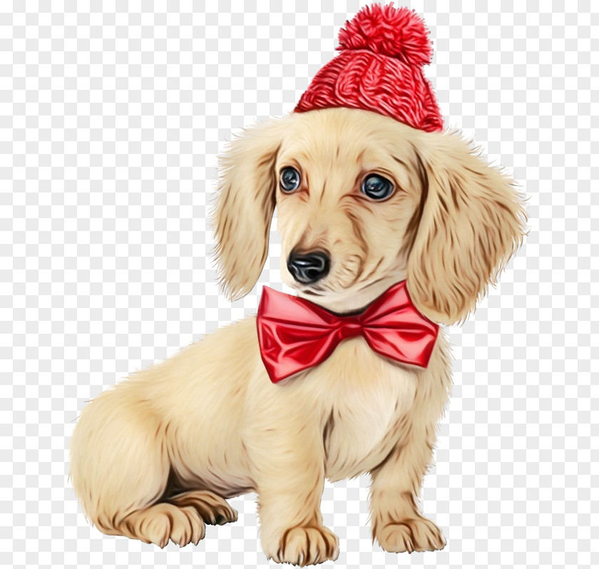 Sporting Group Companion Dog Golden Retriever Puppy PNG