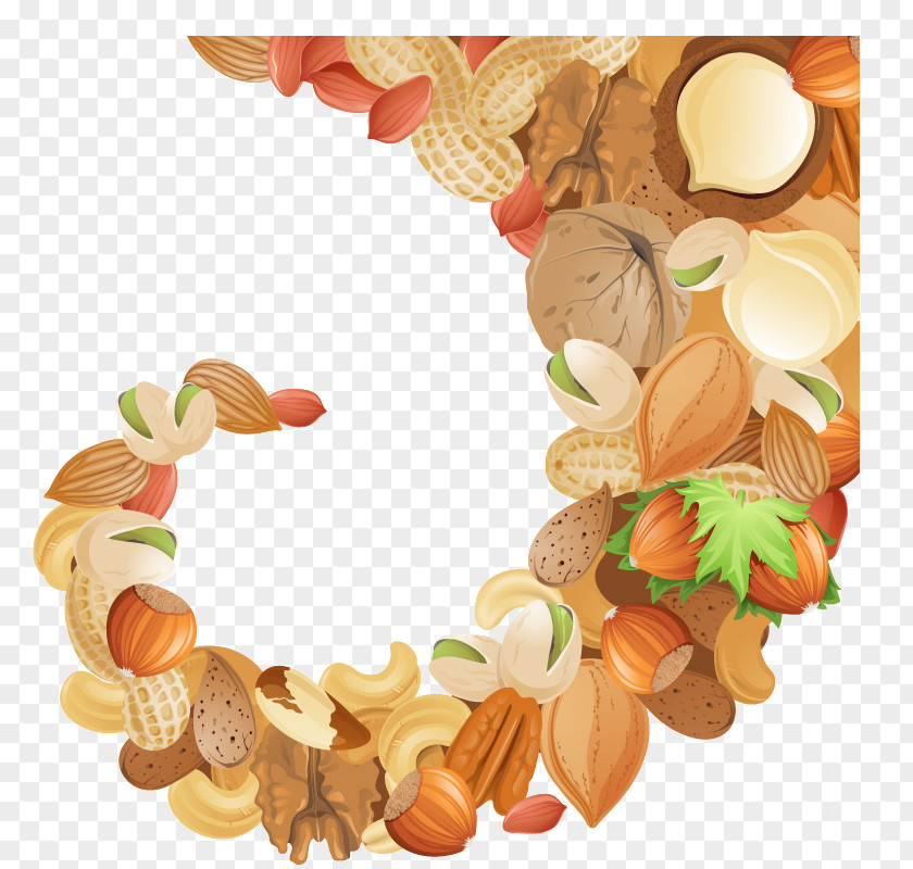 Almond Ring Nut Dried Fruit PNG