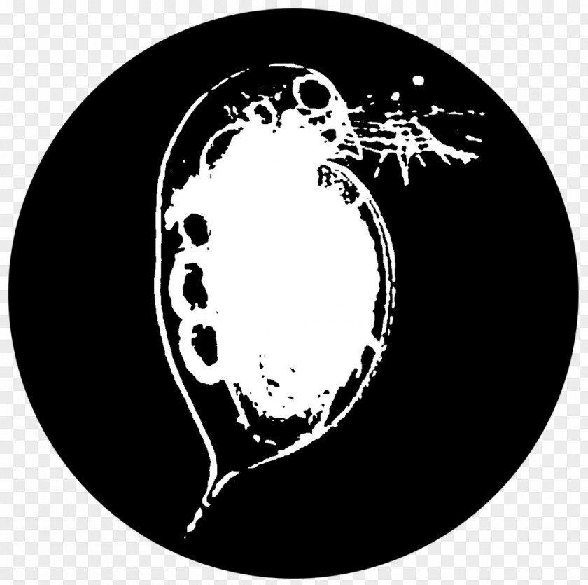 Daphnia Pictogram Red Emma's Bookstore Coffeehouse Magna Water Flea Pulex Moina PNG