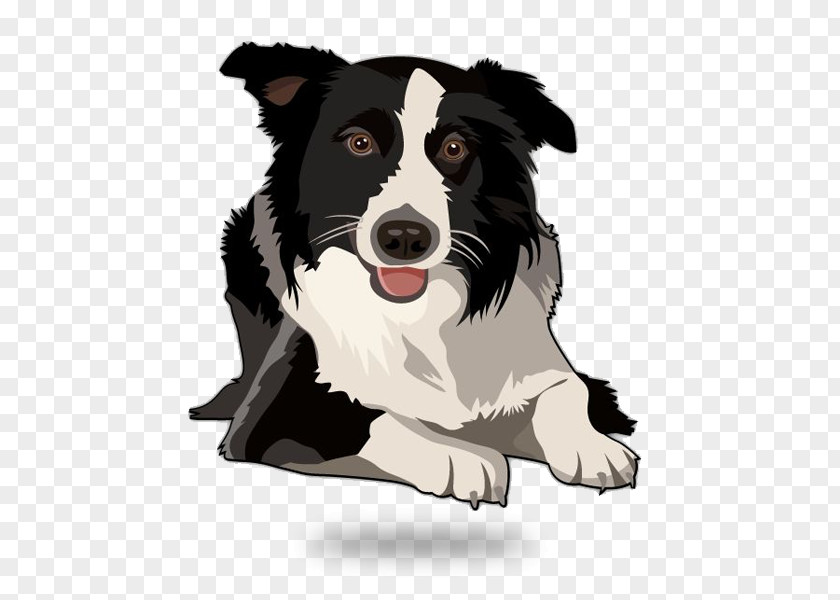 Dog Agility Border Collie Rough Old English Sheepdog Shetland Puppy PNG