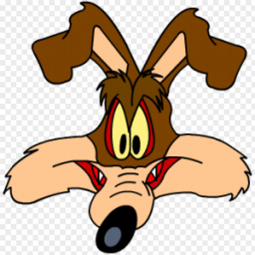 Looney Tunes Wile E. Coyote And The Road Runner Animation PNG