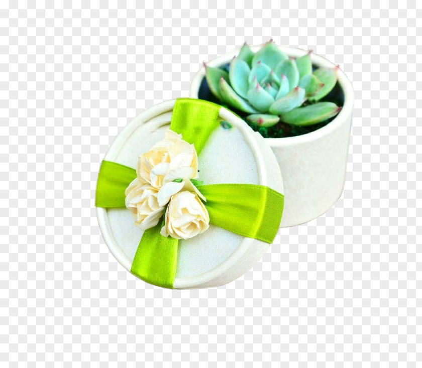 Mini Fleshy Wedding Succulent Plant Flower Marriage PNG